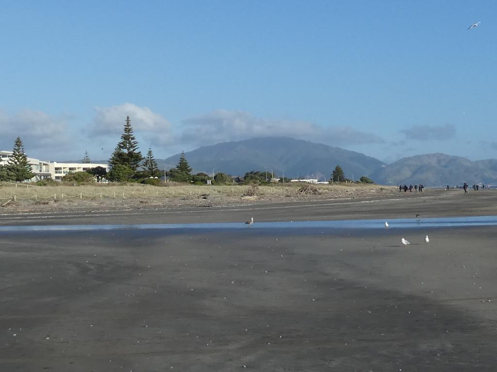 Apartment 4A - By The Beach Paraparaumu Extérieur photo